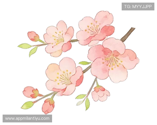 ued体育直播最新功能介绍,提升你的观看体验和互动参与感的实用指南 ued体育直播最新功能介绍,提升你的观看体验和互动参与感的实用指南