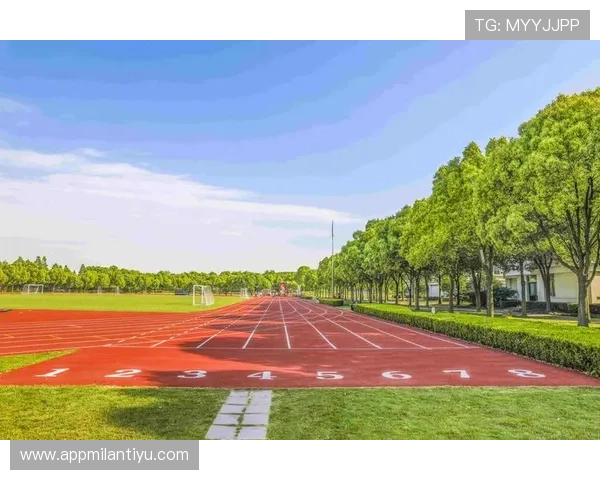 多米体育的内容定制与个性化推荐机制：满足不同用户多样化的体育内容需求